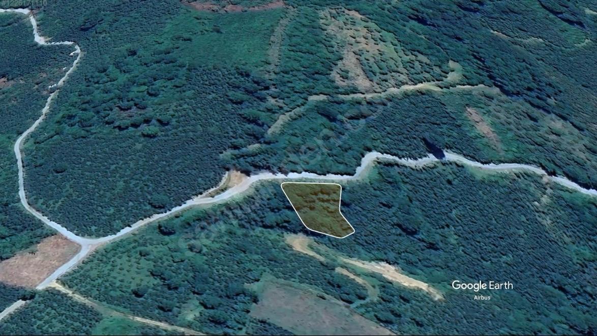 ORDU\ALTINORDU IŞIKLI MAHALLESİ SATILIK BAHÇE